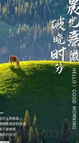 九游战争与征服下载-九游战争与征服下载，一段跨越时空的征服之旅